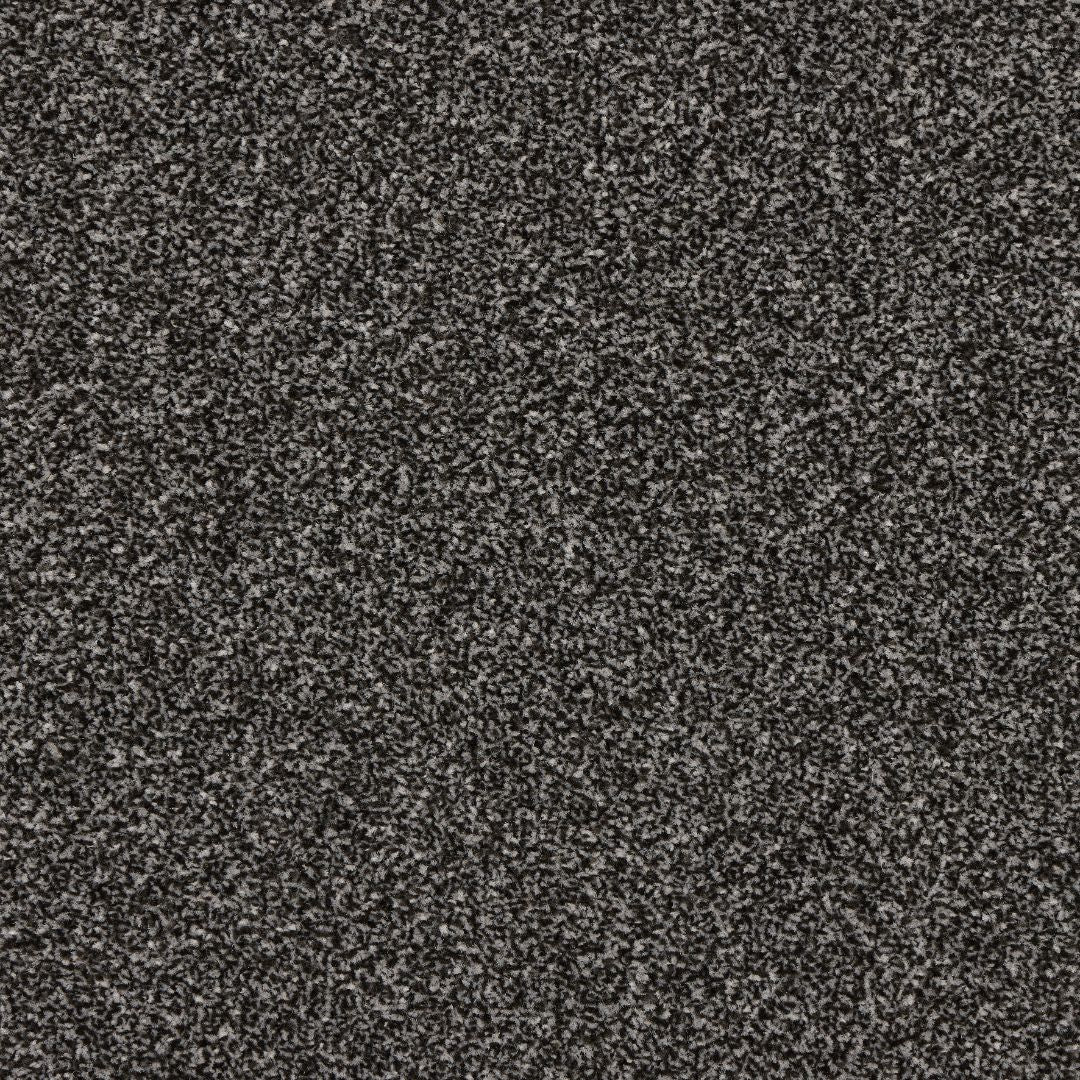 StainFree Rapport Twist Carpet