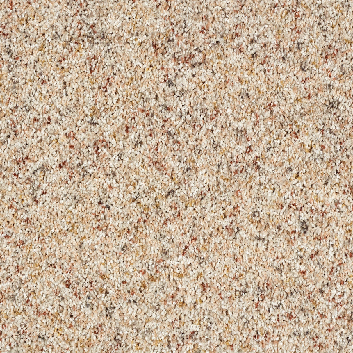 Abingdon Wild Silk - Ivory Lace Carpet – by Abingdon Flooring – 1