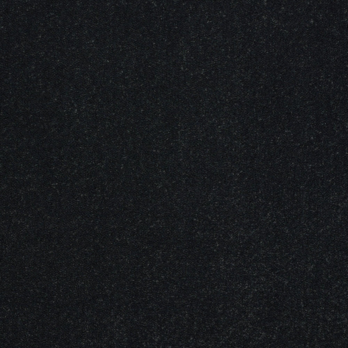 Abingdon Pure Elegance - Black Raven Carpet – by Abingdon Flooring – 1