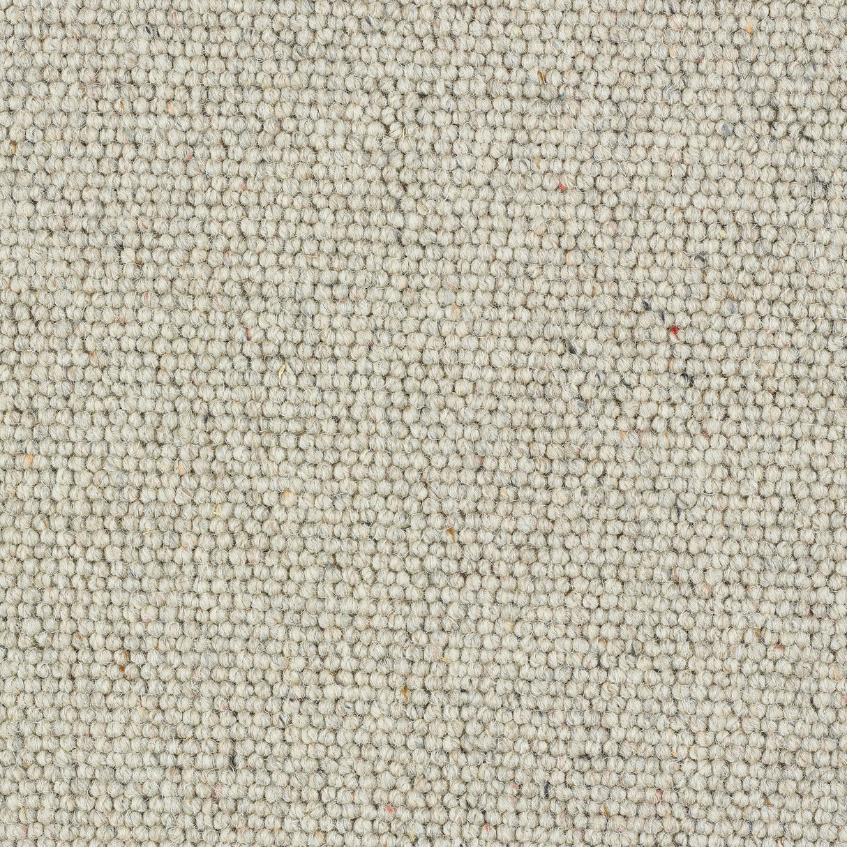 Abingdon Charter Berber Loop - Pumice Carpet – by Abingdon Flooring – 1