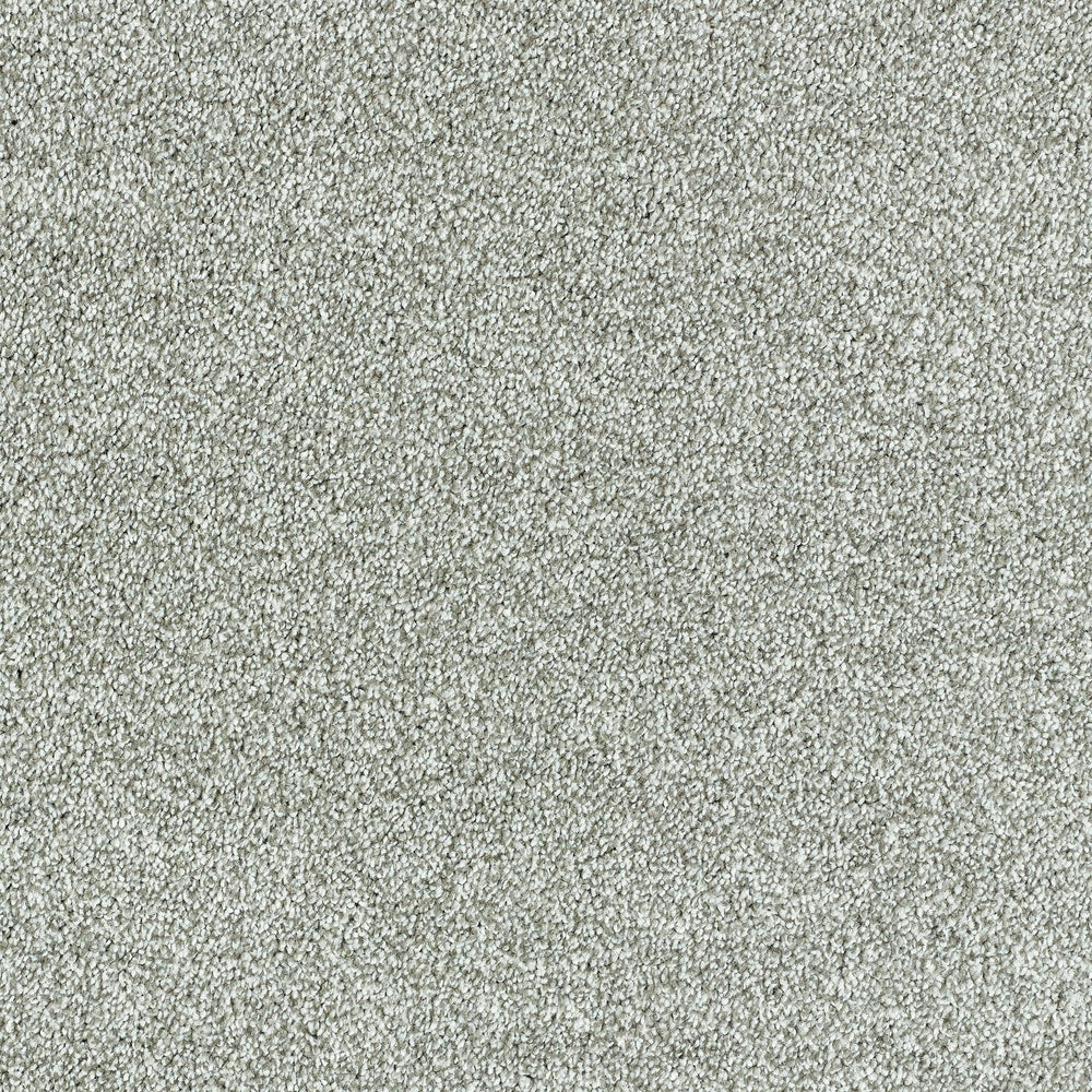 Abingdon Deep Feelings - Silver Cloud Carpet – by Abingdon Flooring – 1