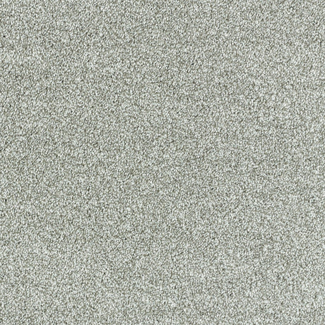 Abingdon Deep Feelings - Silver Cloud Carpet – by Abingdon Flooring – 1