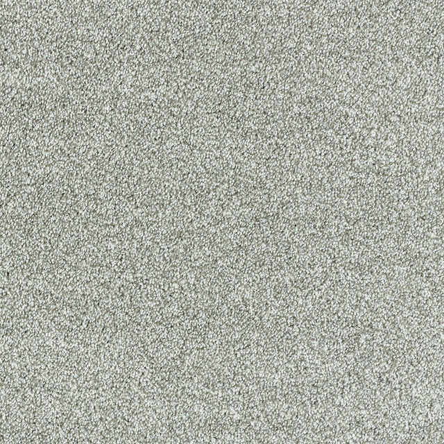 Abingdon Deep Feelings - Silver Cloud Carpet – by Abingdon Flooring – 1