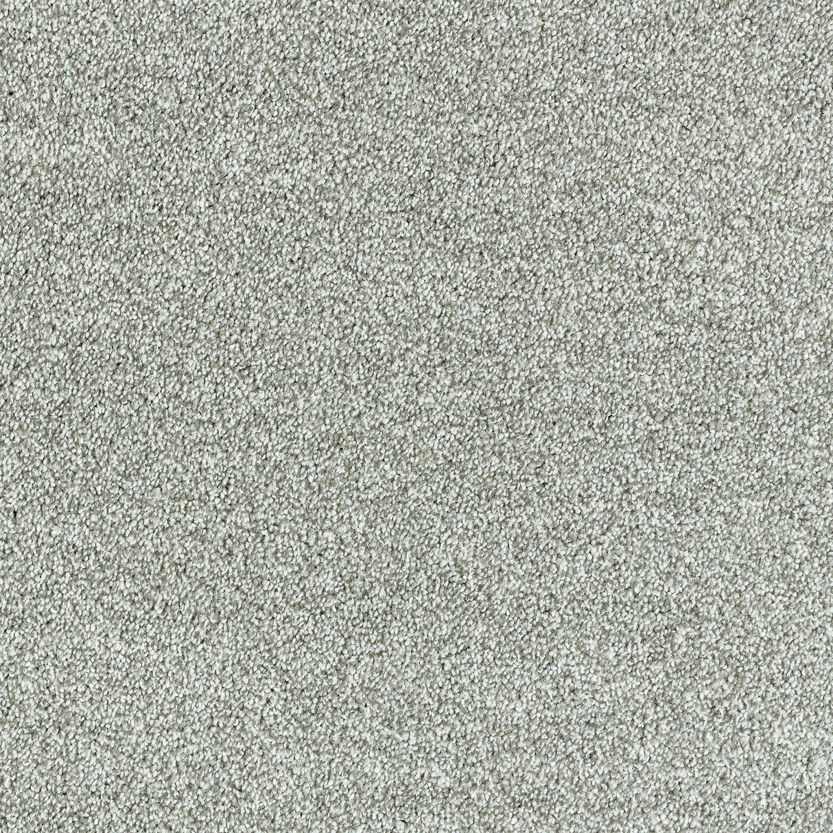 Abingdon Lasting Romance - Silver Cloud Carpet – by Abingdon Flooring – 1