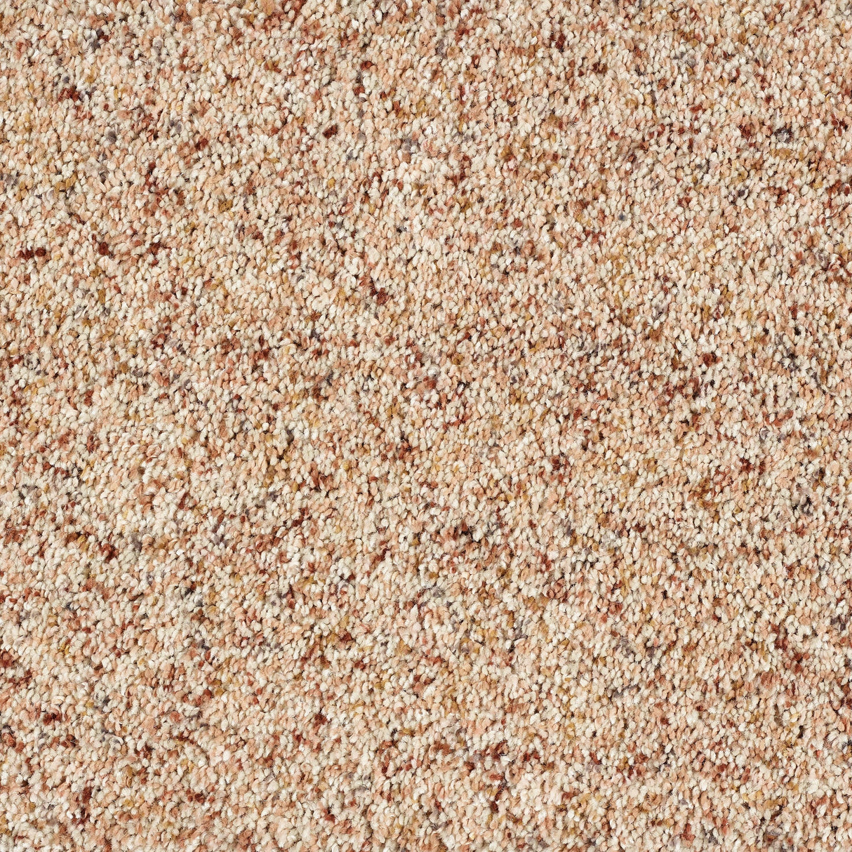 Abingdon Wild Silk - Sandstorm Carpet – by Abingdon Flooring – 1