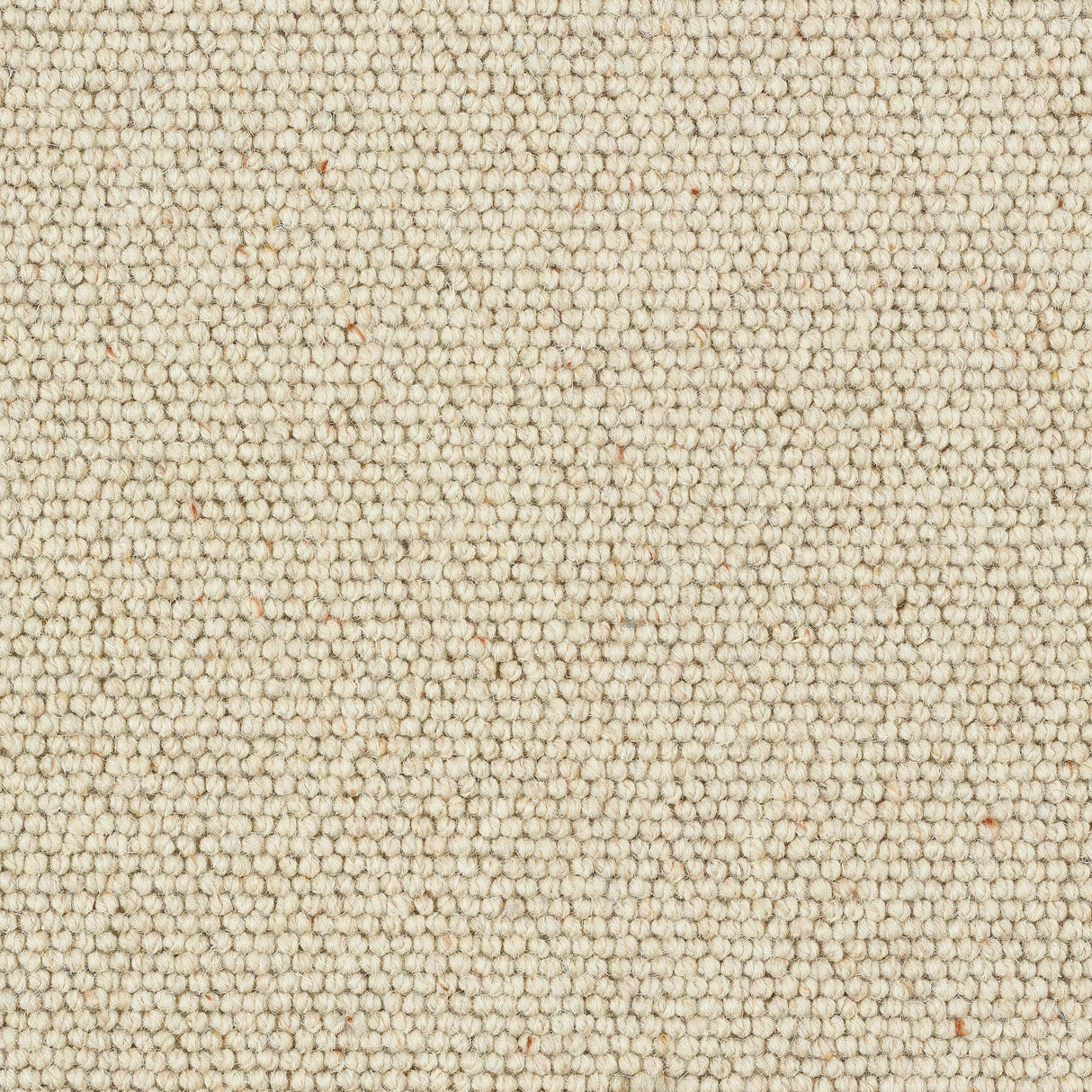 Abingdon Charter Berber Loop - Irish Cream Carpet – by Abingdon Flooring – 1