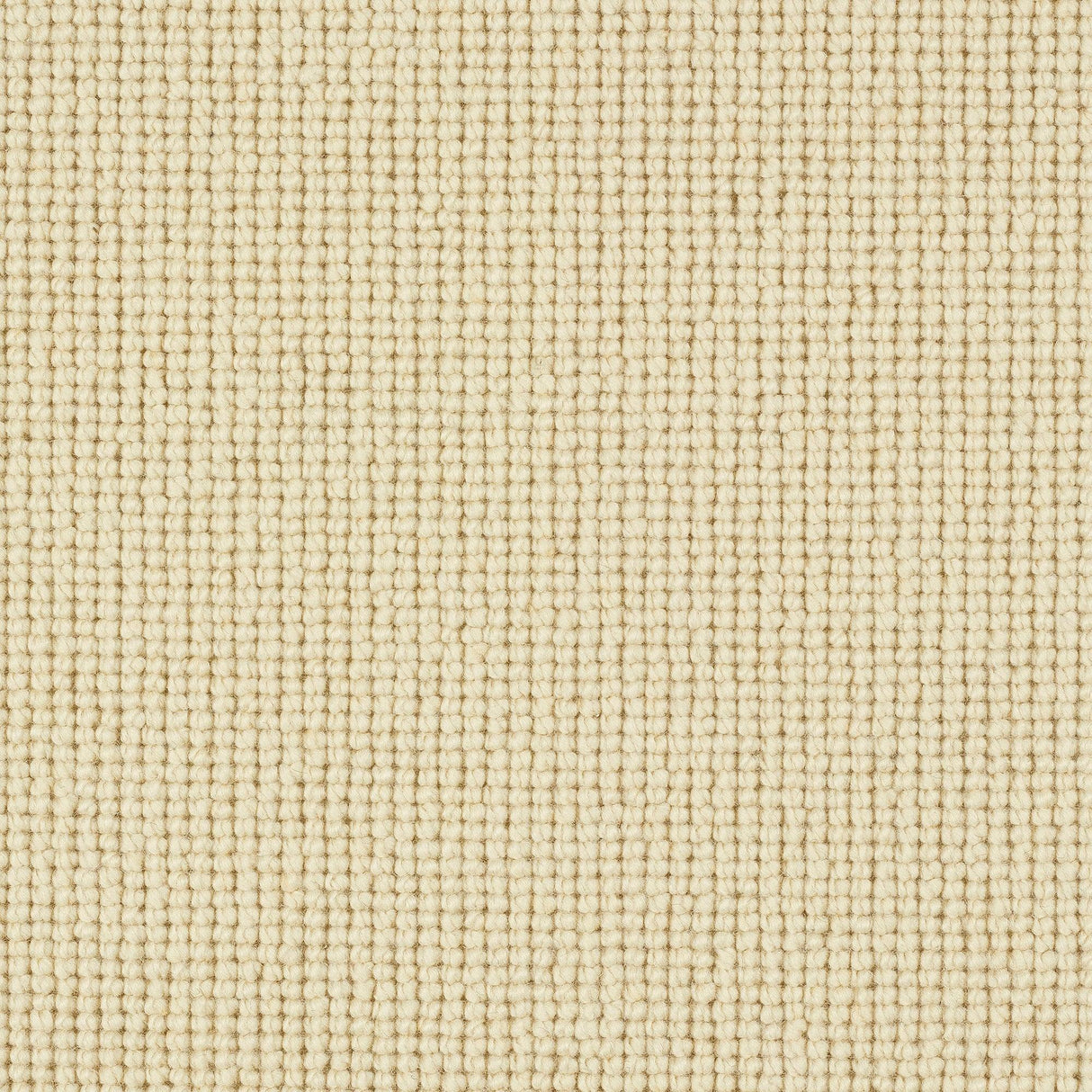 Abingdon Charter Plain Loop - Southdown Carpet – by Abingdon Flooring – 1