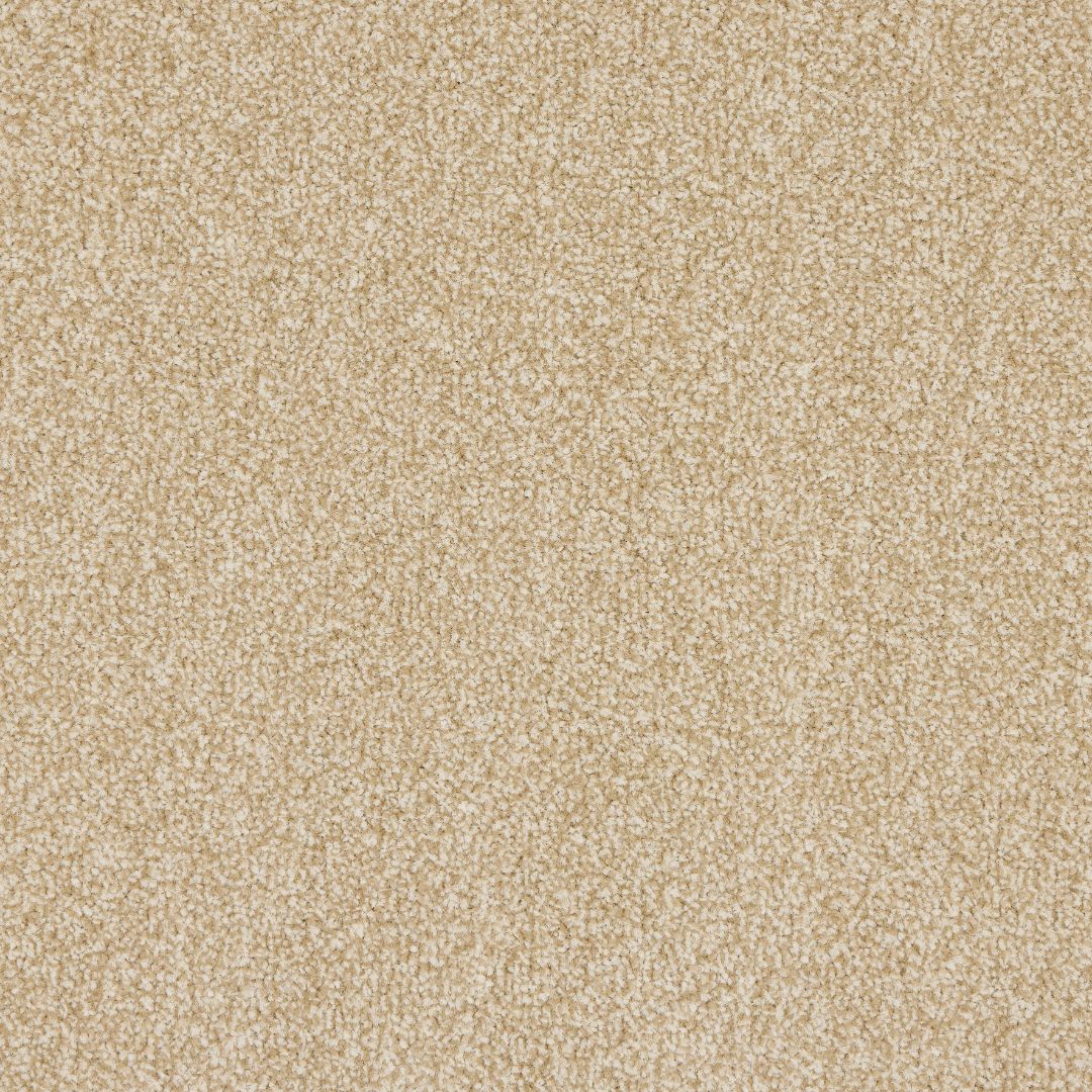 StainFree Rapport Twist Carpet