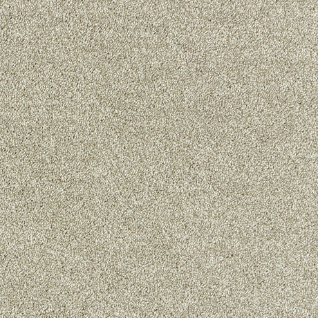 Abingdon Deep Feelings - Truffle Carpet – by Abingdon Flooring – 1
