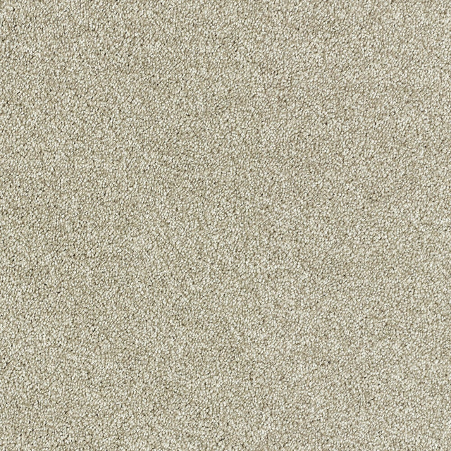 Abingdon Deep Feelings - Truffle Carpet – by Abingdon Flooring – 1