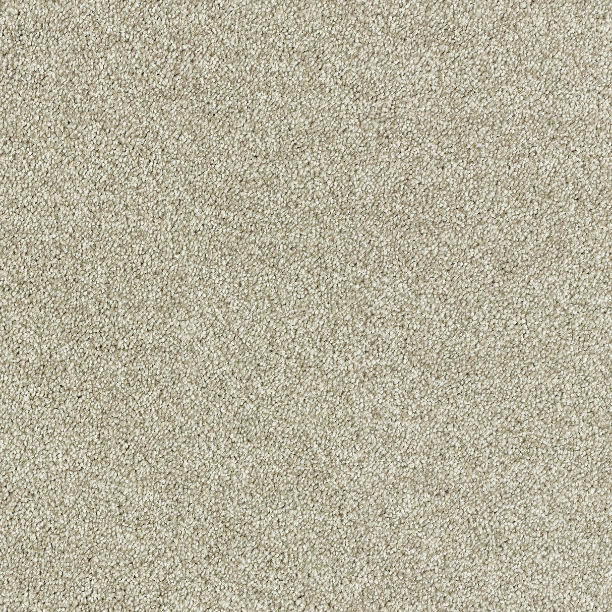 Abingdon Lasting Romance - Truffle Carpet – by Abingdon Flooring – 1