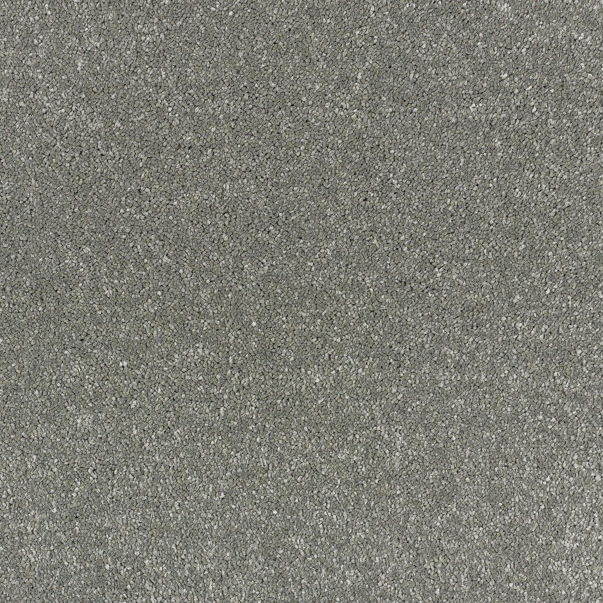 Abingdon Stainfree Satin Touch - Brocade Carpet – by Abingdon Flooring – 1