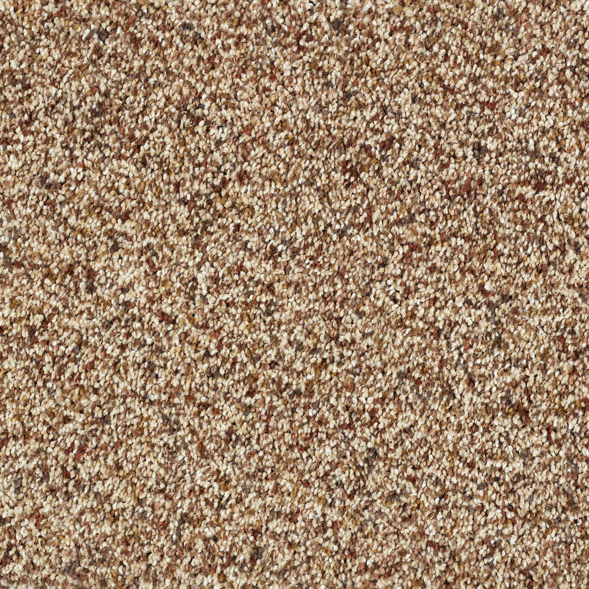 Abingdon Wild Silk - Cinnamon Carpet – by Abingdon Flooring – 1