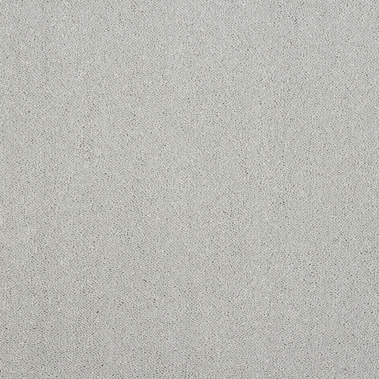 Abingdon Pure Elegance - Tundra Frost - 4m x 4.90m Carpet Remnant – by Abingdon Flooring – 1