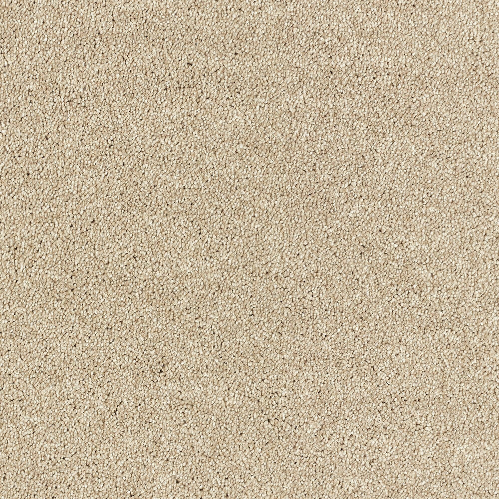 Abingdon Deep Feelings - Pashmina Carpet – by Abingdon Flooring – 1