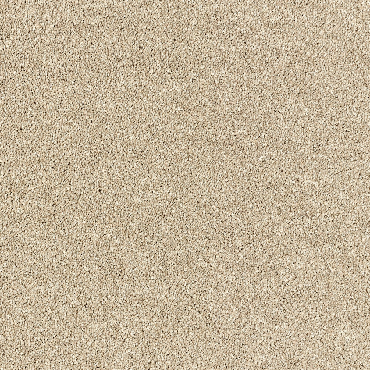 Abingdon Deep Feelings - Pashmina Carpet – by Abingdon Flooring – 1