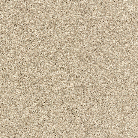 Abingdon Deep Feelings - Pashmina Carpet – by Abingdon Flooring – 1