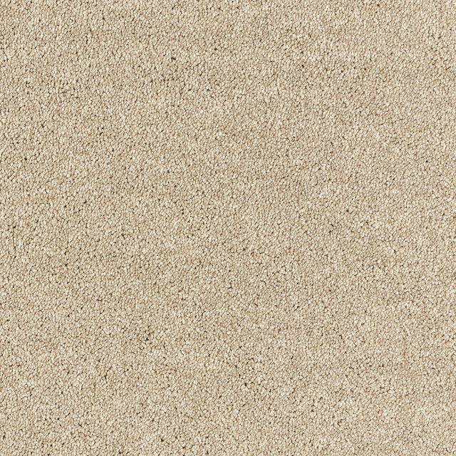 Abingdon Deep Feelings - Pashmina Carpet – by Abingdon Flooring – 1