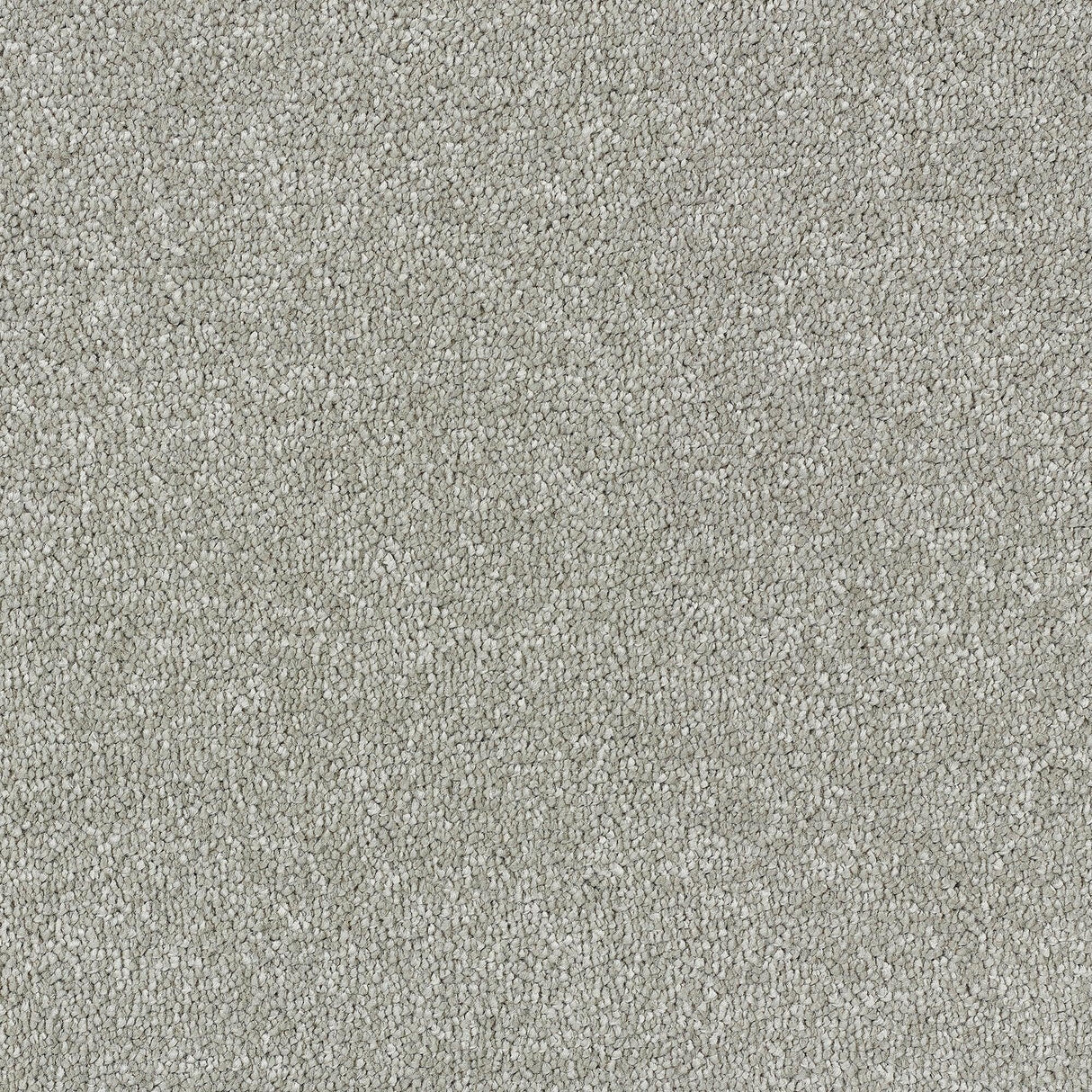 Abingdon Stainfree Satin Touch - Velvet Carpet – by Abingdon Flooring – 1