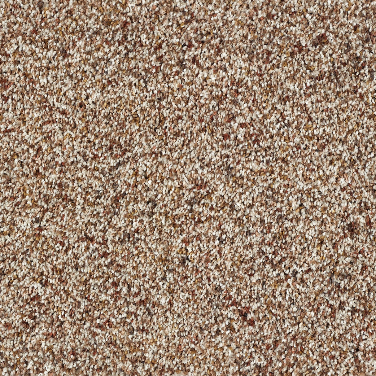 Abingdon Wild Silk - Treasure Island Carpet – by Abingdon Flooring – 1