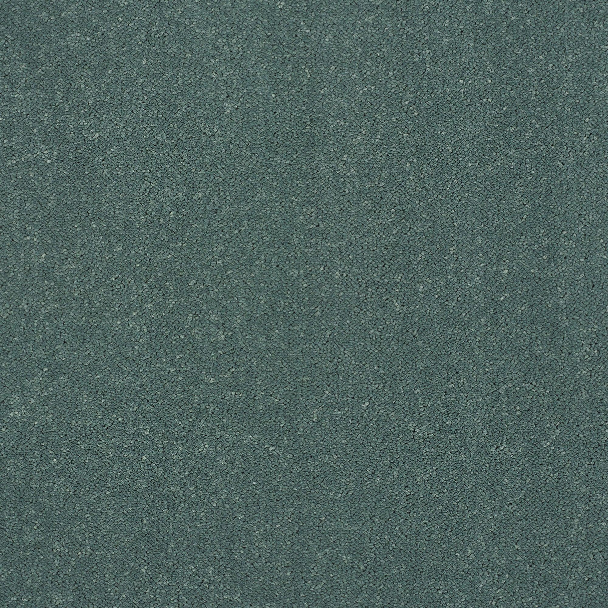 Abingdon Pure Elegance - Treasure Isle Carpet – by Abingdon Flooring – 1