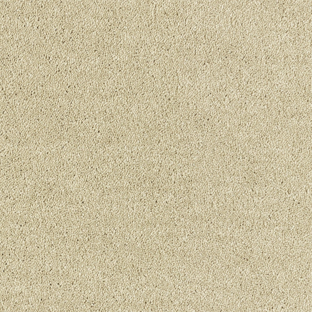 Abingdon Deep Feelings - Chenille Carpet – by Abingdon Flooring – 1