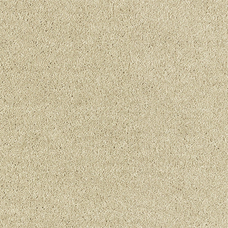 Abingdon Deep Feelings - Chenille Carpet – by Abingdon Flooring – 1