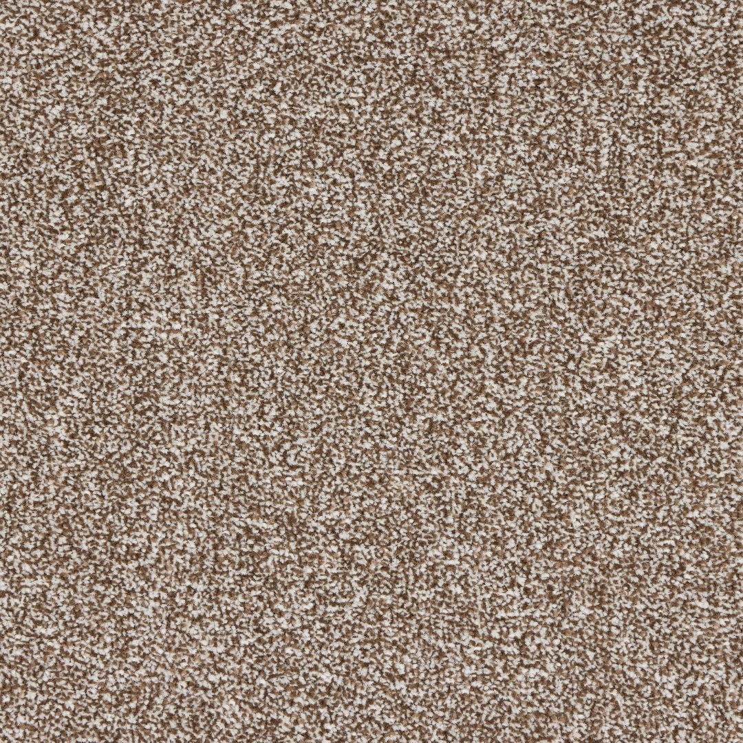 StainFree Rapport Twist Carpet