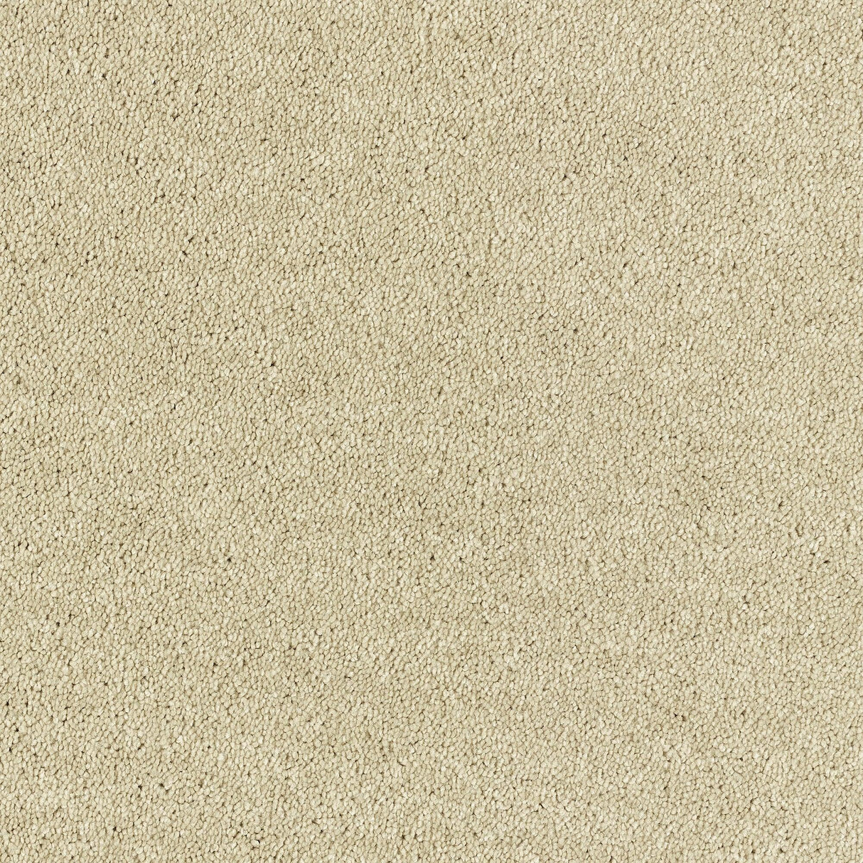 Abingdon Lasting Romance - Chenille Carpet – by Abingdon Flooring – 1