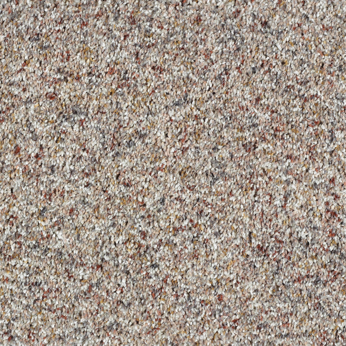 Abingdon Wild Silk - Confetti Carpet – by Abingdon Flooring – 1
