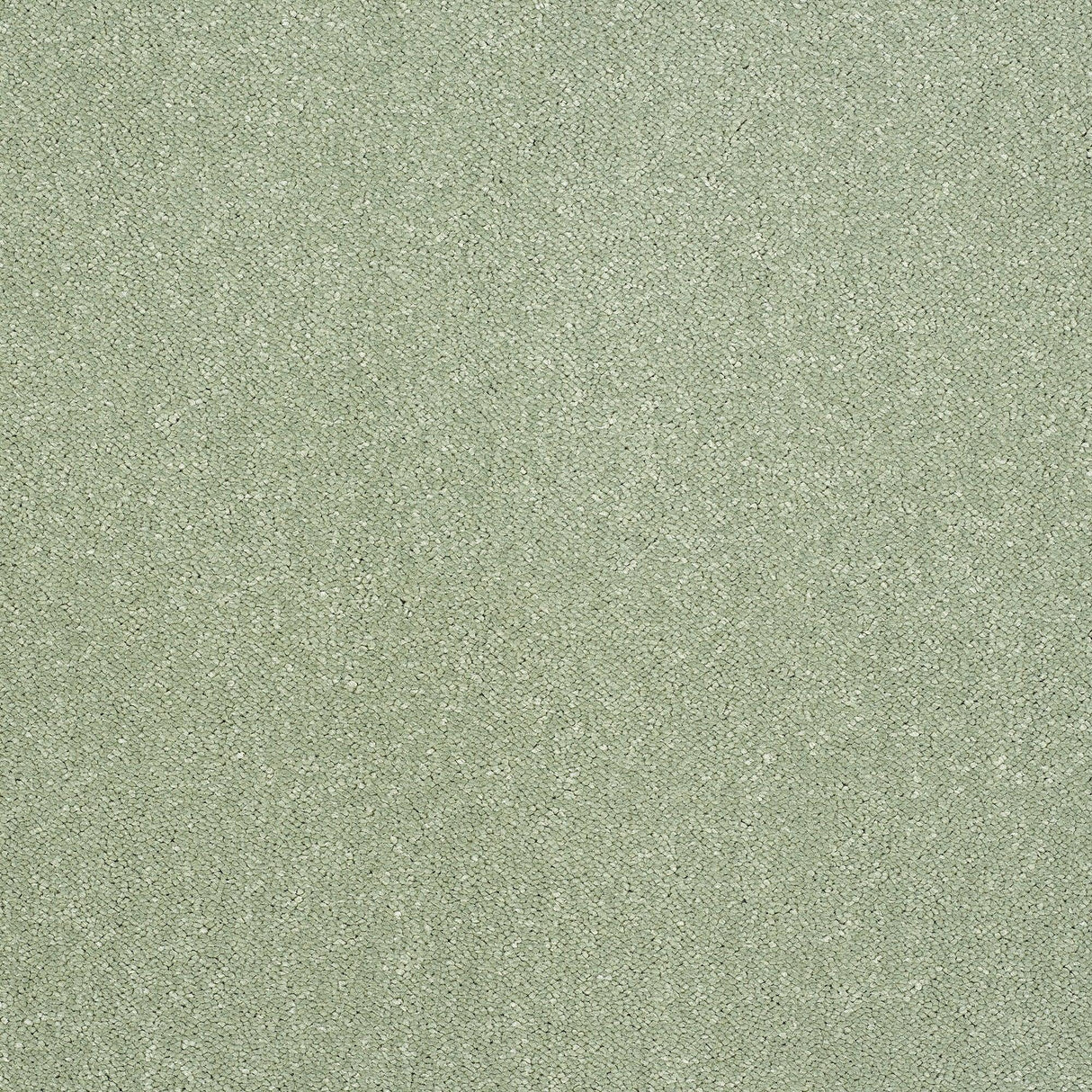Abingdon Pure Elegance - Putting Green Carpet – by Abingdon Flooring – 1