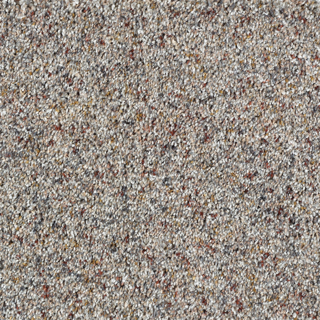 Abingdon Wild Silk - Hazy Grey Carpet – by Abingdon Flooring – 1