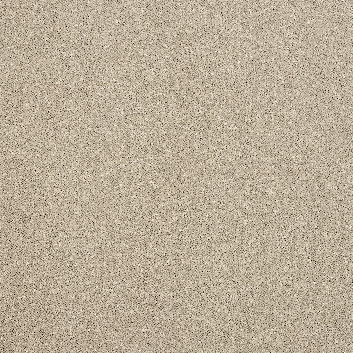 Abingdon Pure Elegance - Moon Cloud Carpet – by Abingdon Flooring – 1