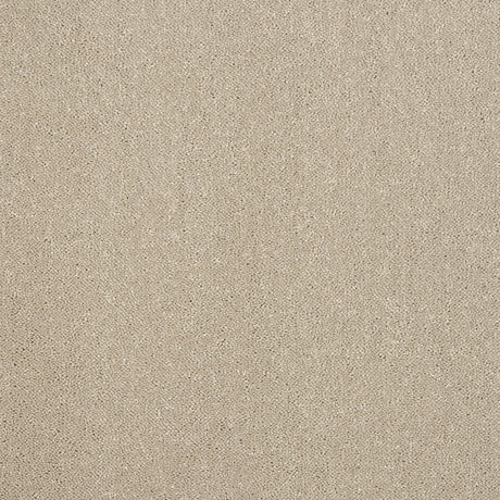 Abingdon Pure Elegance - Moon Cloud Carpet – by Abingdon Flooring – 1