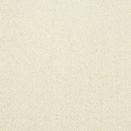 Abingdon Pure Elegance - Cloudy Dreams Carpet – by Abingdon Flooring – 1