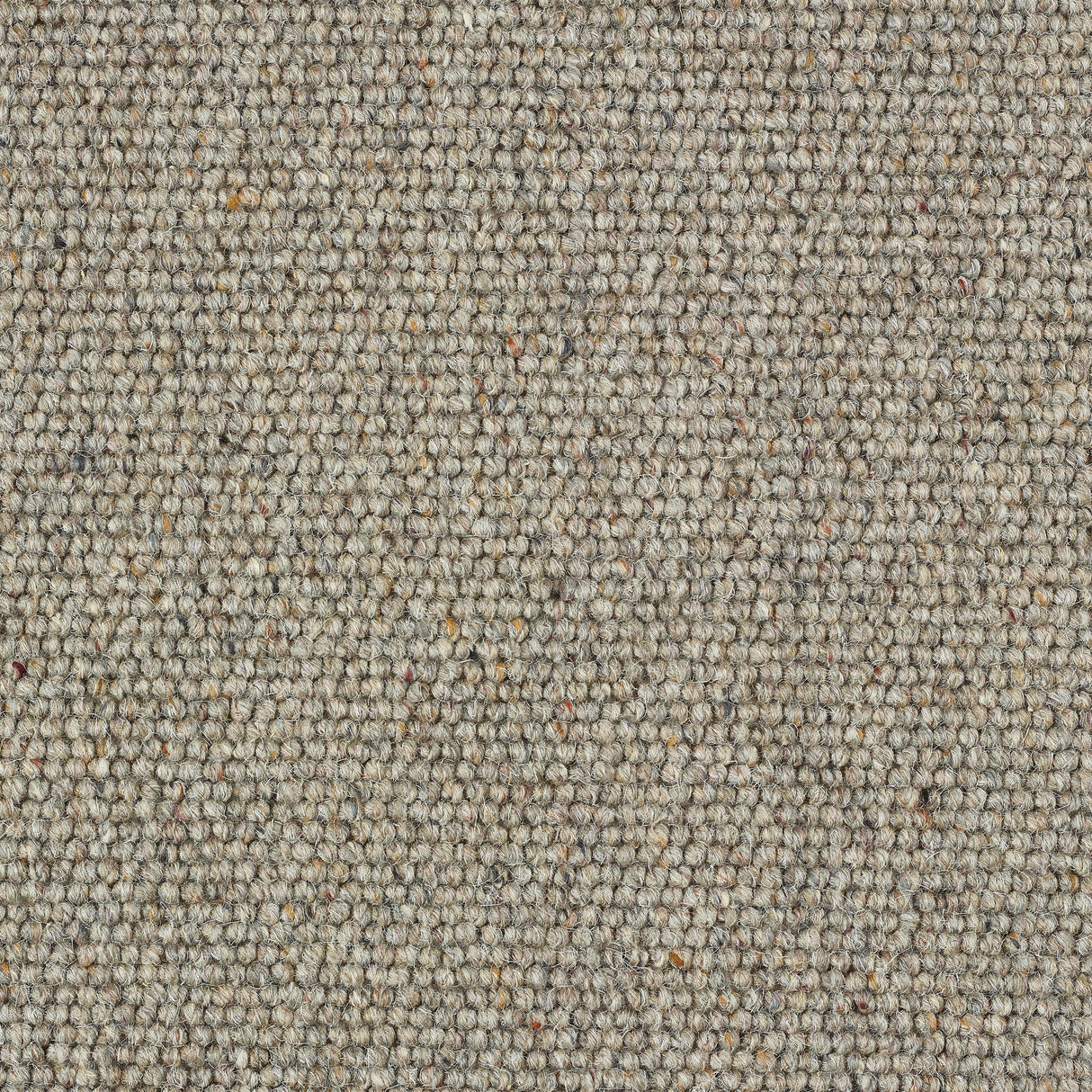 Abingdon Charter Berber Loop - Dapple Carpet – by Abingdon Flooring – 1