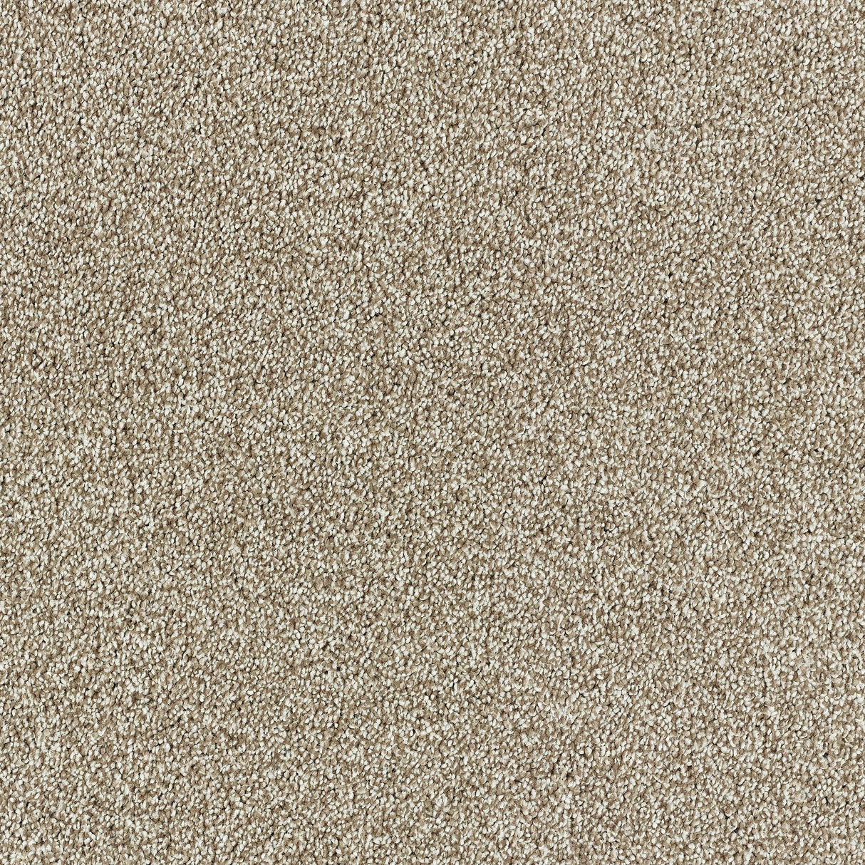 Abingdon Lasting Romance - Hazel Carpet – by Abingdon Flooring – 1