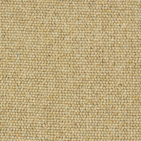 Abingdon Charter Berber Loop - Honey Gold Carpet – by Abingdon Flooring – 1