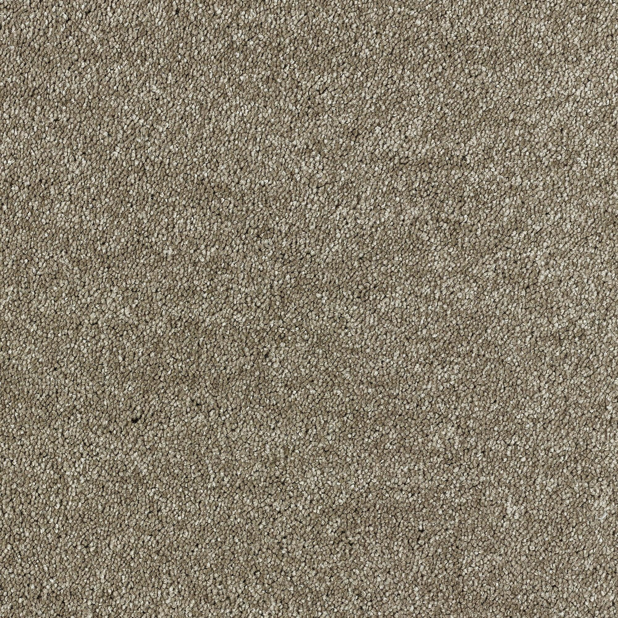 Abingdon Lasting Romance - Americano Carpet – by Abingdon Flooring – 1