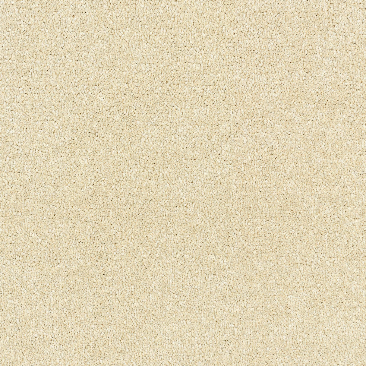 Abingdon Stainfree Satin Touch - Lace Carpet – by Abingdon Flooring – 1