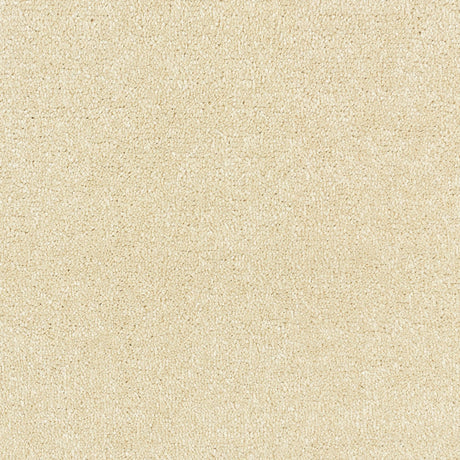 Abingdon Stainfree Satin Touch - Lace Carpet – by Abingdon Flooring – 1