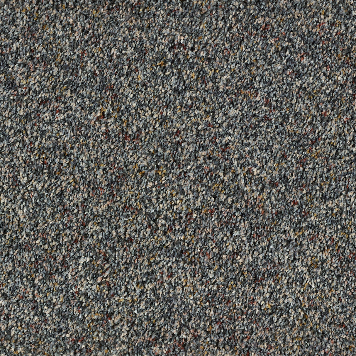 Abingdon Wild Silk - Belgravia Carpet – by Abingdon Flooring – 1