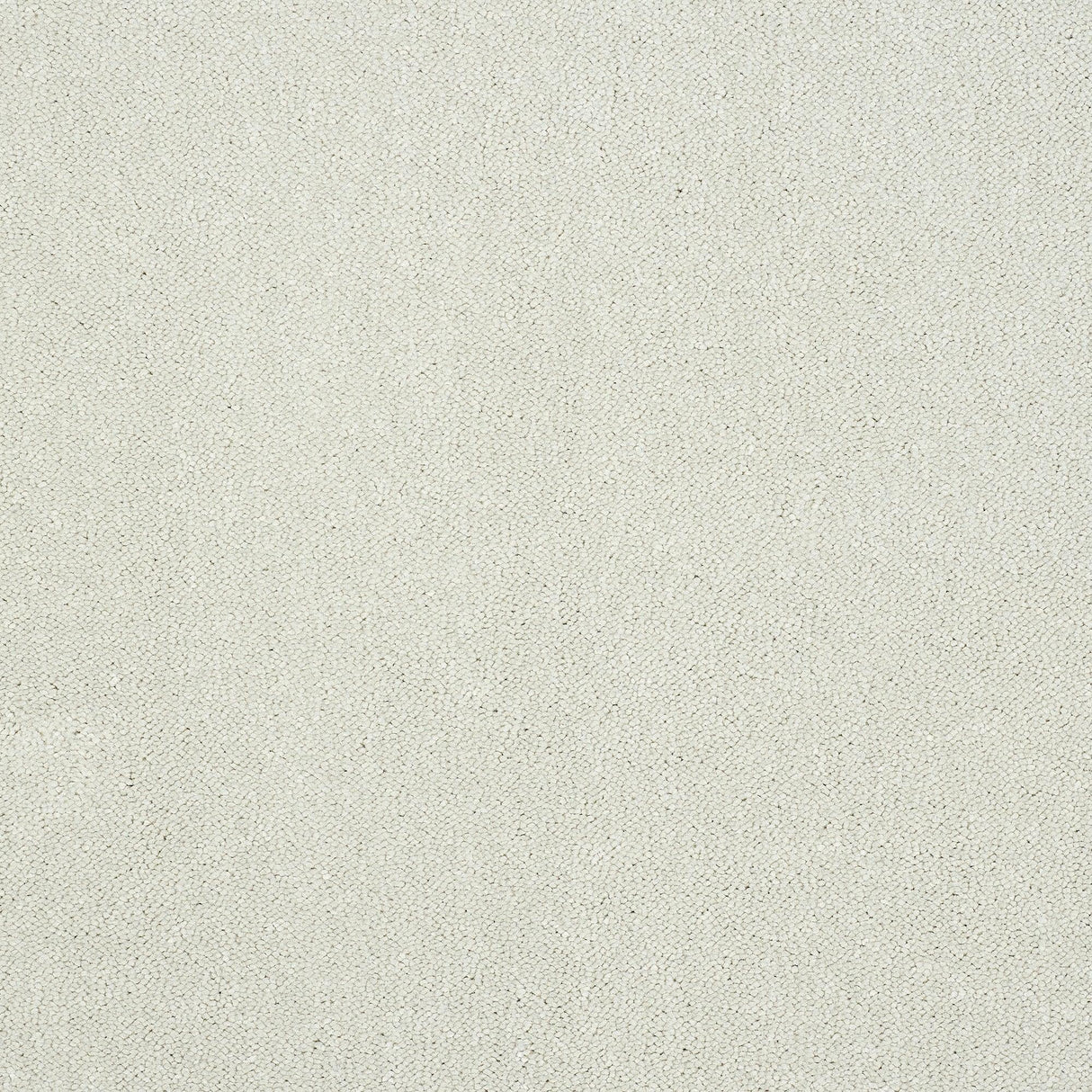 Pure Elegance Carpet