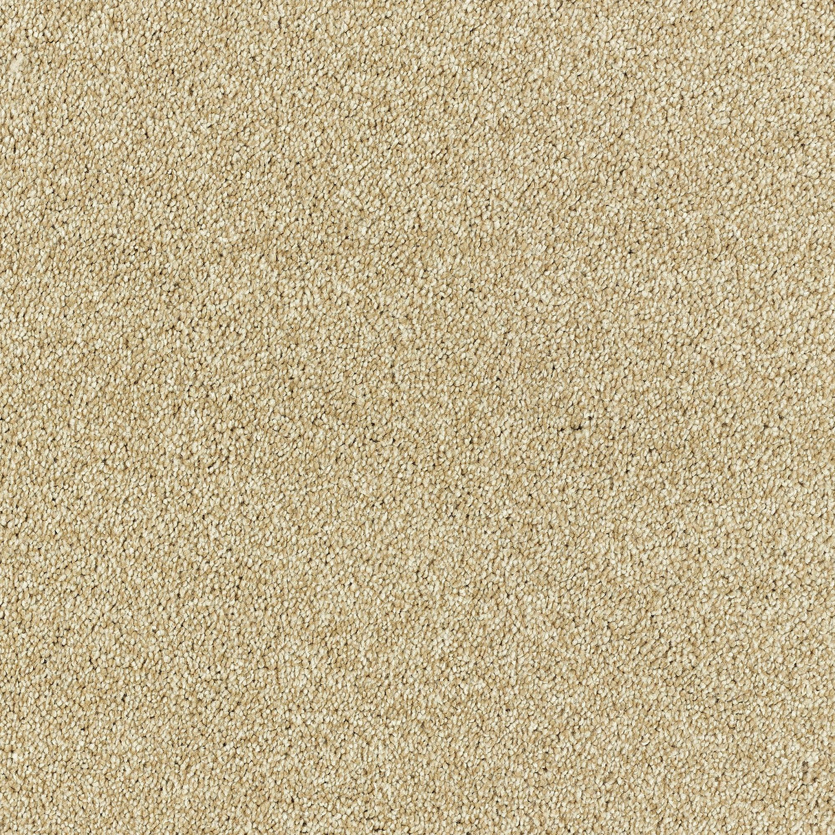 Abingdon Lasting Romance - Cornsilk Carpet – by Abingdon Flooring – 1