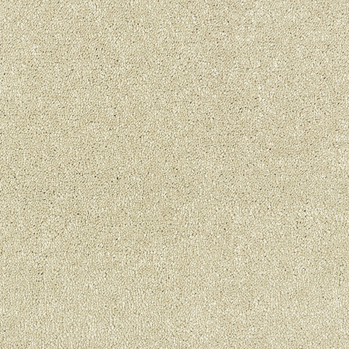 Abingdon Stainfree Satin Touch - Cotton Carpet – by Abingdon Flooring – 1