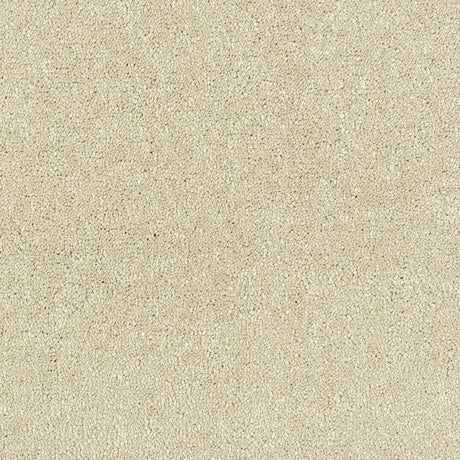 Abingdon Stainfree Satin Touch - Cotton Carpet – by Abingdon Flooring – 1