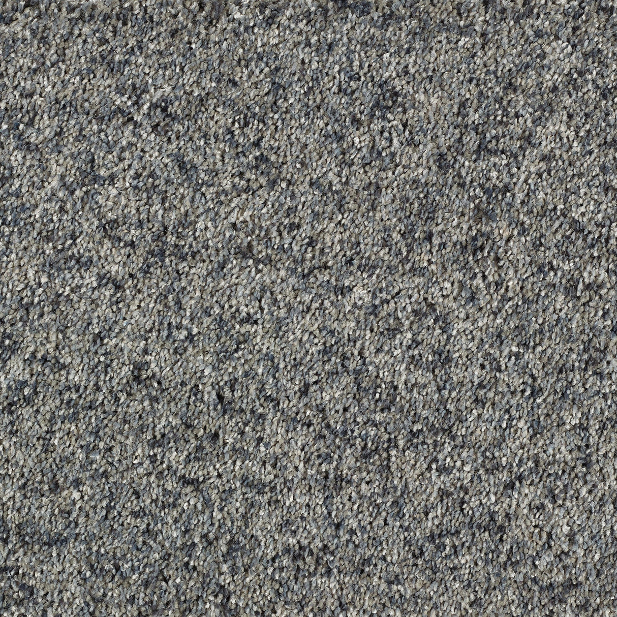 Abingdon Wild Silk - Silver Spoon Carpet – by Abingdon Flooring – 1