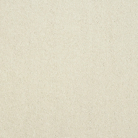 Abingdon Pure Elegance - Snowfall Carpet – by Abingdon Flooring – 1