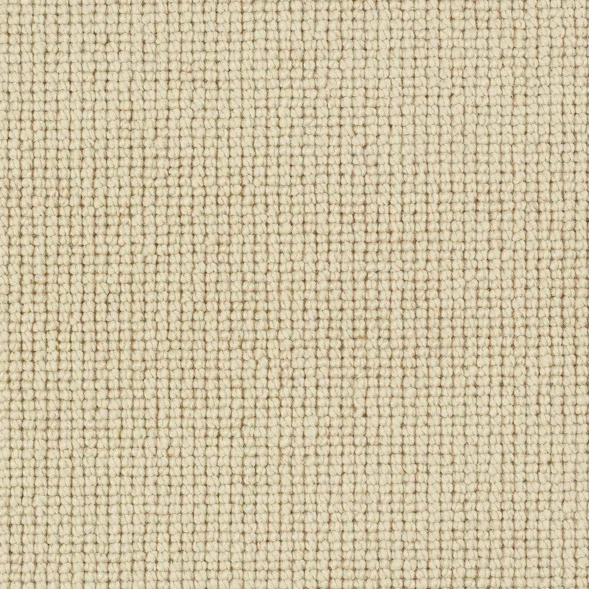 Charter Plain Loop Carpet
