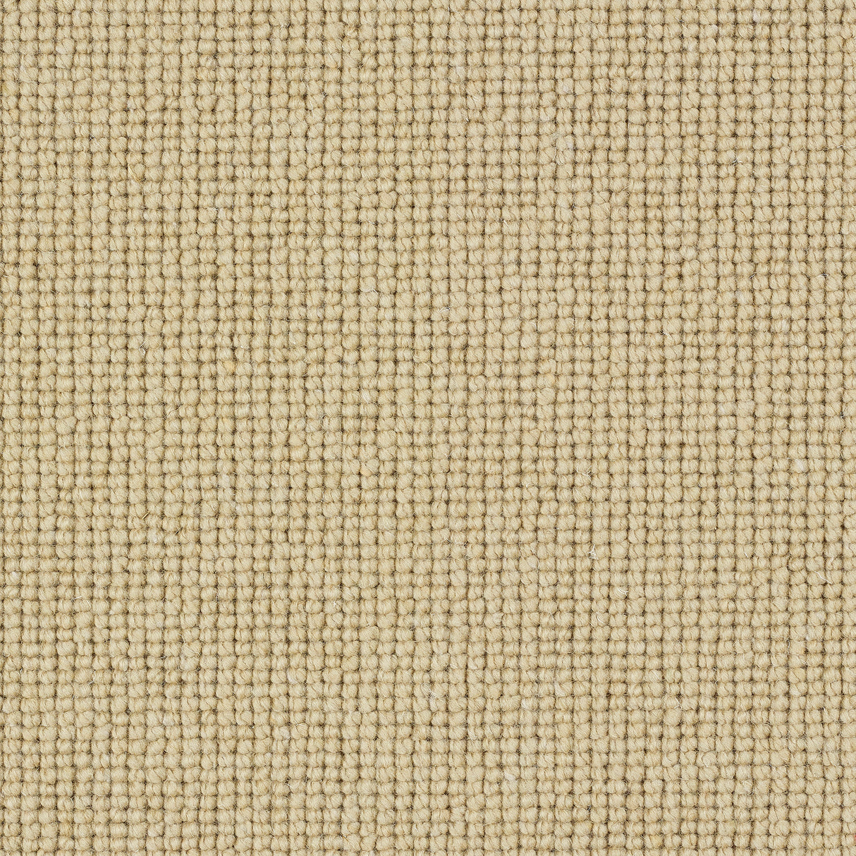 Charter Plain Loop Carpet